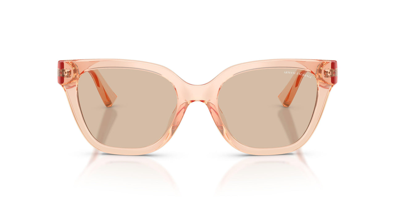 839593 - Pink - Light Brown
