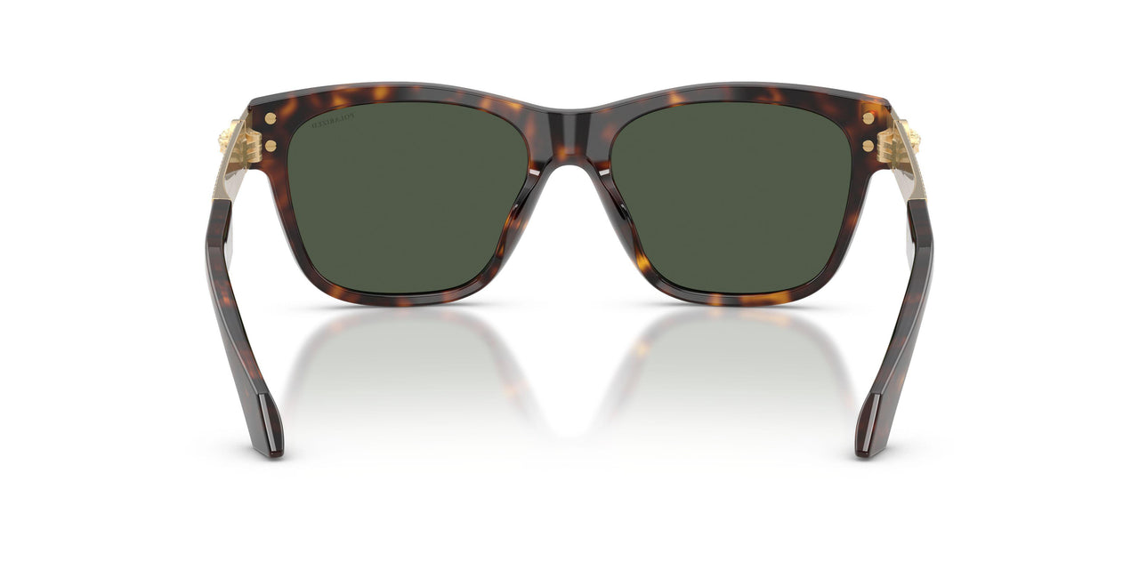 108/9A - Brown - Dark Green Polarized