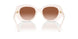 580513 - White - Brown Gradient