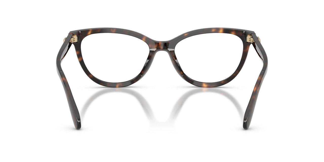 5120 - Tortoise