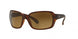 Ray-Ban Rb4068 4068 Sunglasses