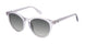 Champion CUREMY Sunglasses