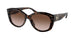 300613 - Havana - Brown Gradient