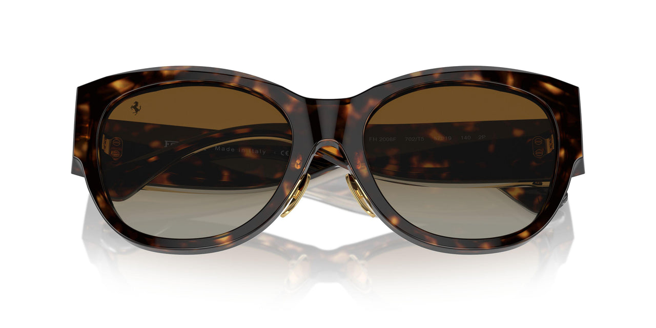702/T5 - Tortoise - Brown Gradient Polar