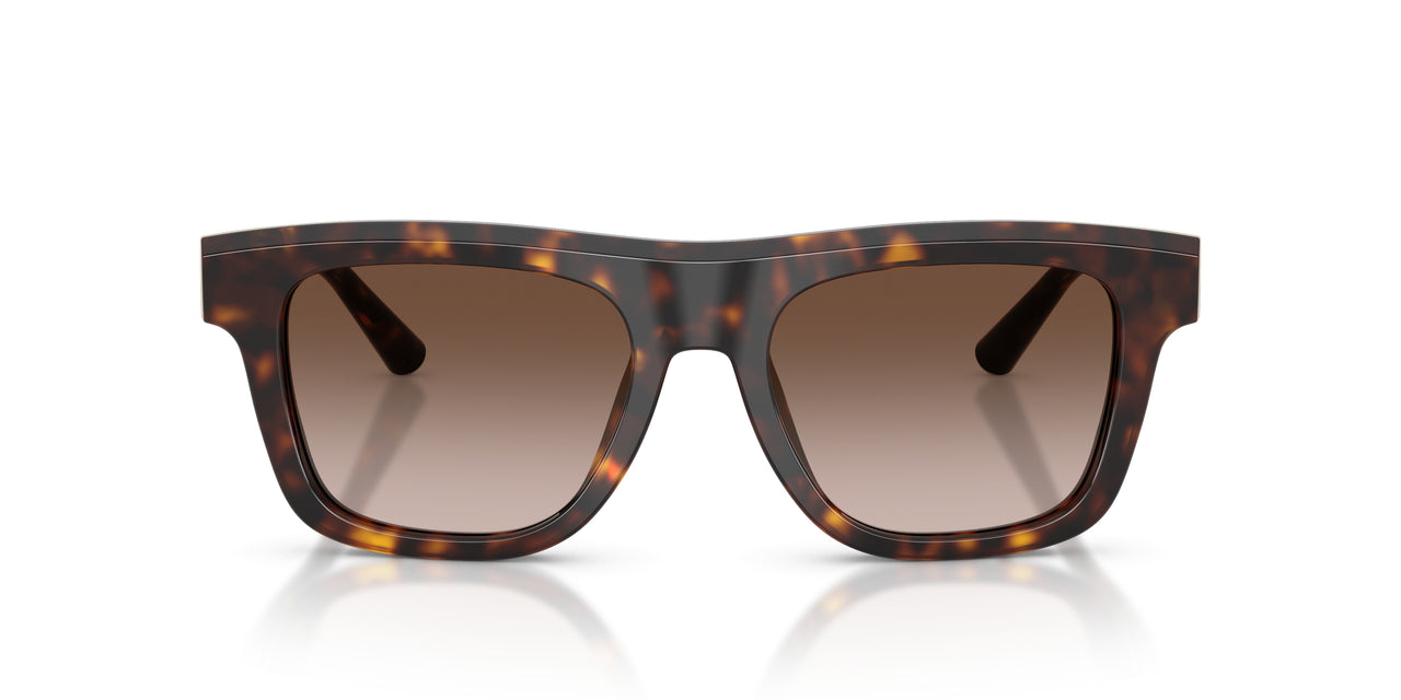 502/13 - Tortoise - Gradient Brown