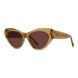 47S - Shiny Brown - Red
