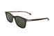 09Q - BROWN