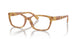 5304 - Tortoise