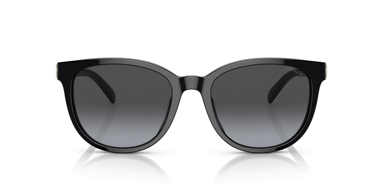 50028G - Black - Grey Gradient