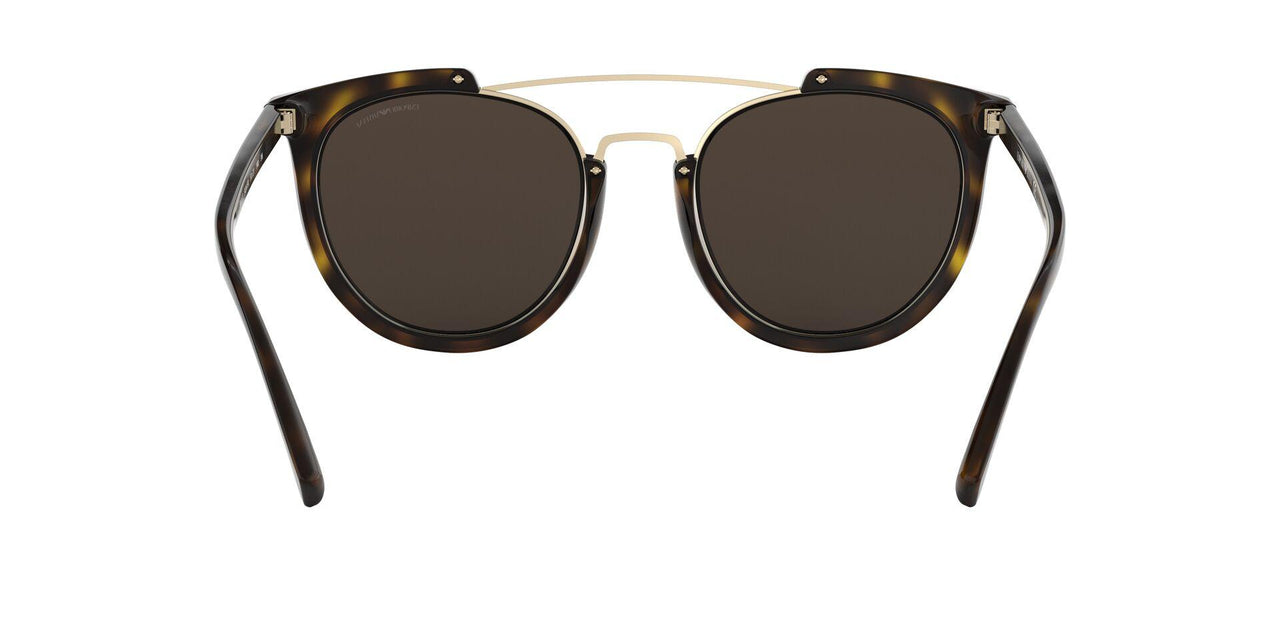 50265A - Havana - Light Brown Mirror Dark Gold