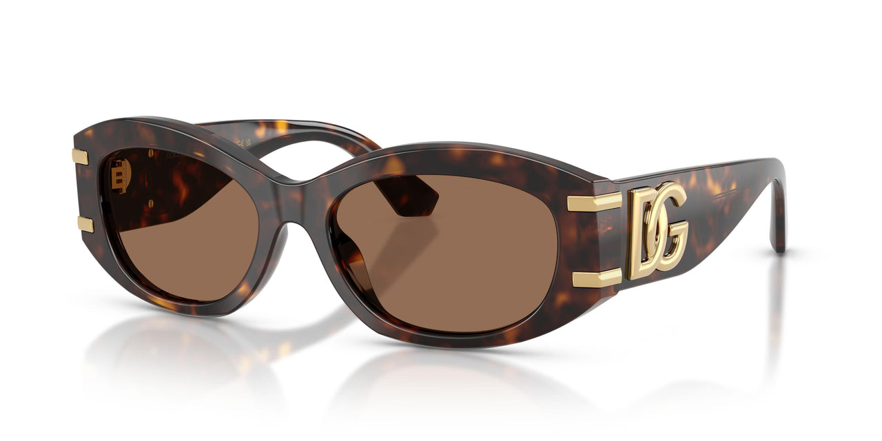 502/73 - Tortoise - Dark Brown