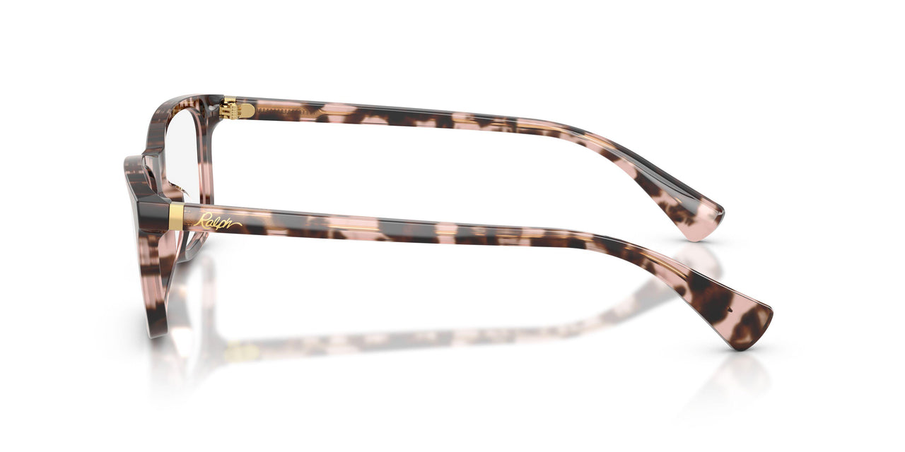 6058 - Tortoise