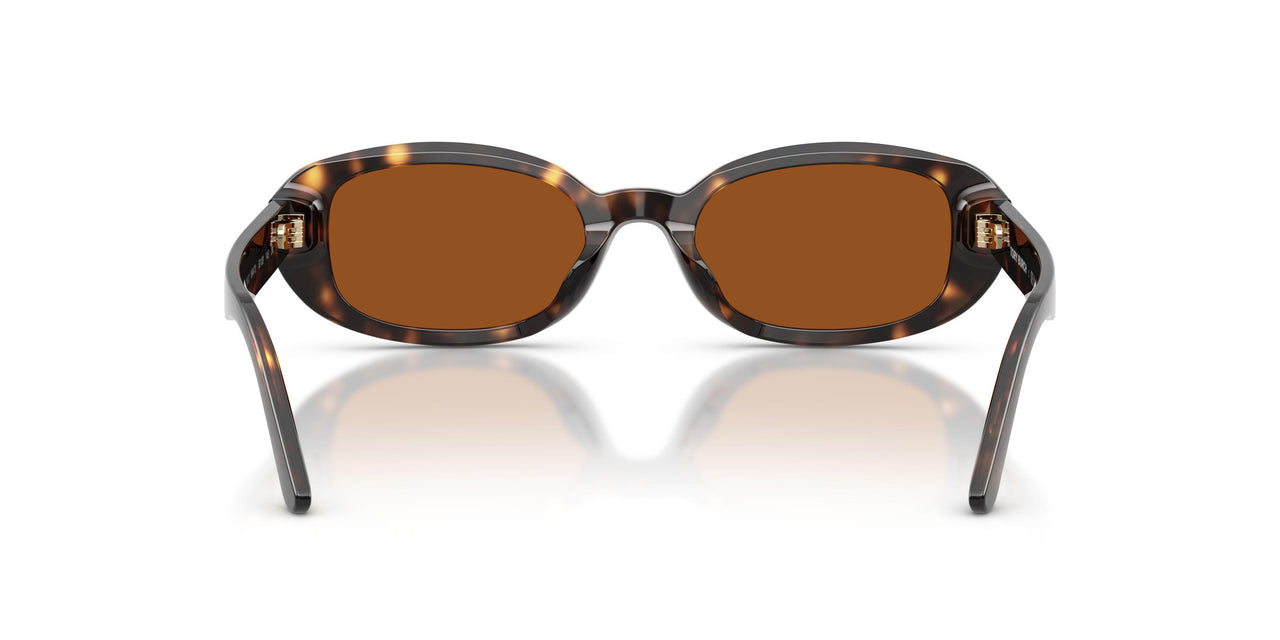 196473 - Tortoise - Dark Red Brown