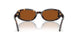 196473 - Tortoise - Dark Red Brown