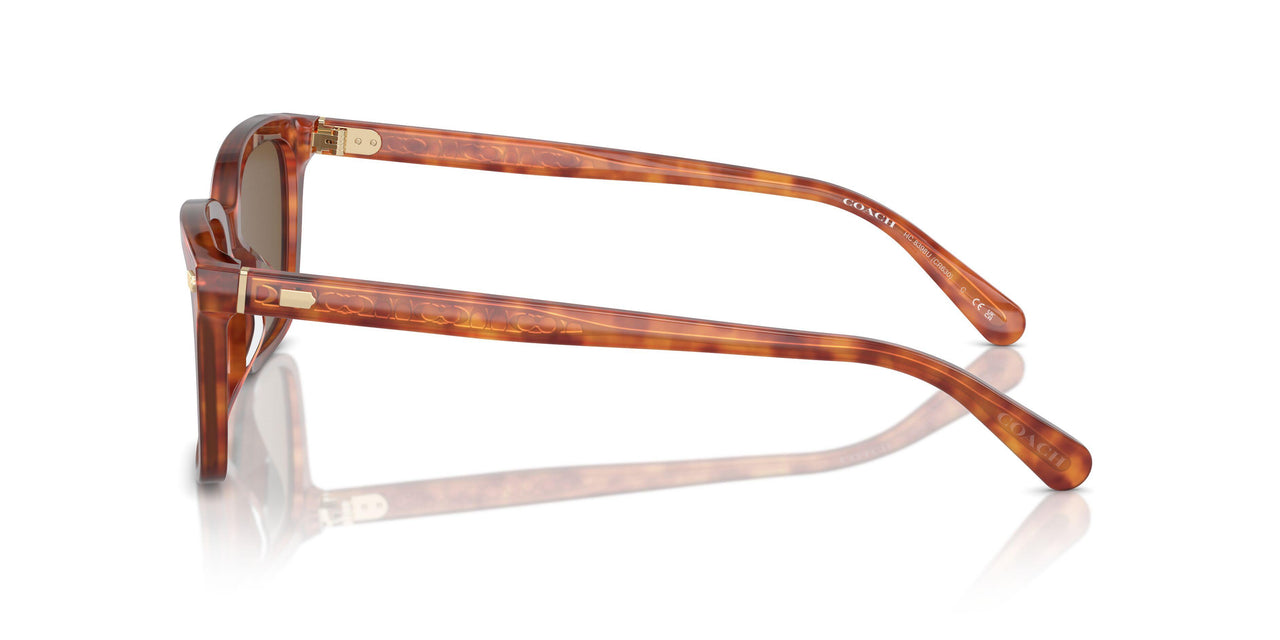 577473 - Tortoise - Brown Solid