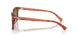577473 - Tortoise - Brown Solid