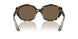 140783 - Tortoise - Brown