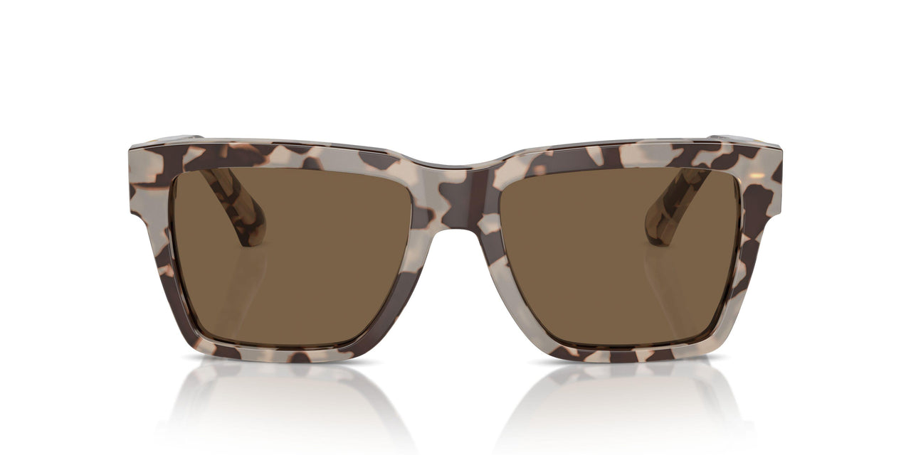 343473 - Beige - Dark Brown