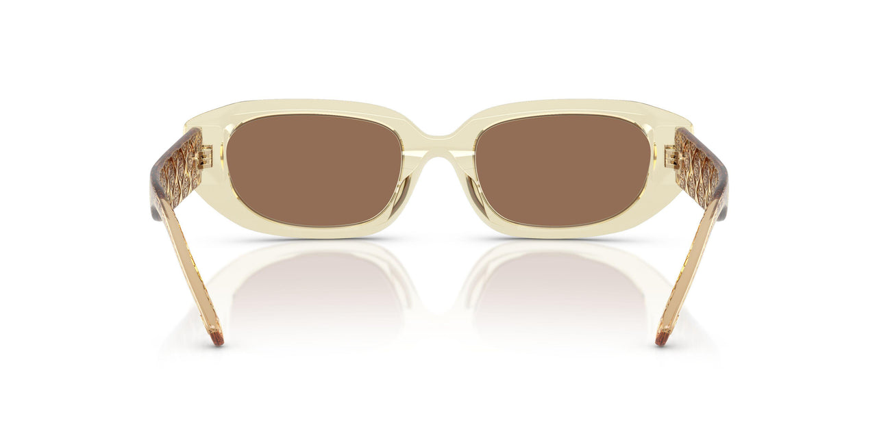 202673 - Yellow - Brown