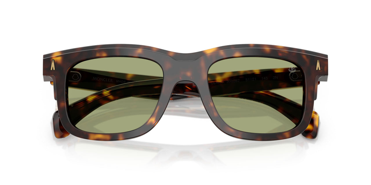 300282 - Tortoise - Green