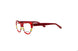 Divaldi DVO8239 Eyeglasses