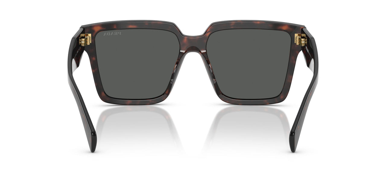 17N40L - Tortoise - Dark Grey