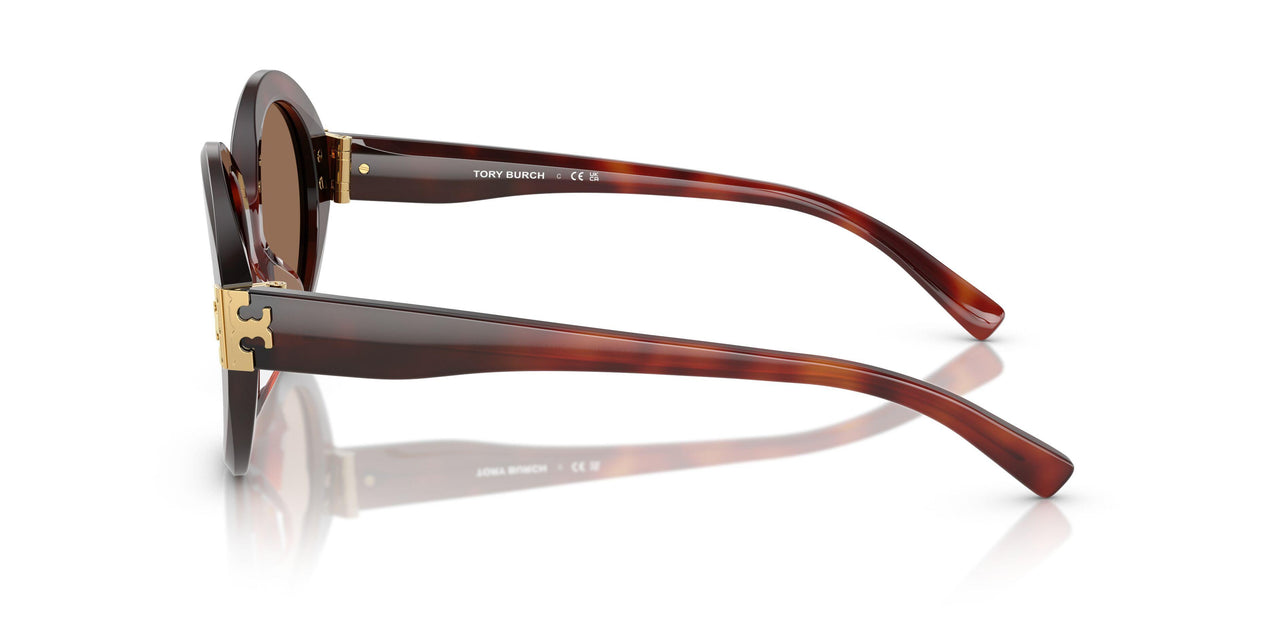 201173 - Tortoise - Dark Brown