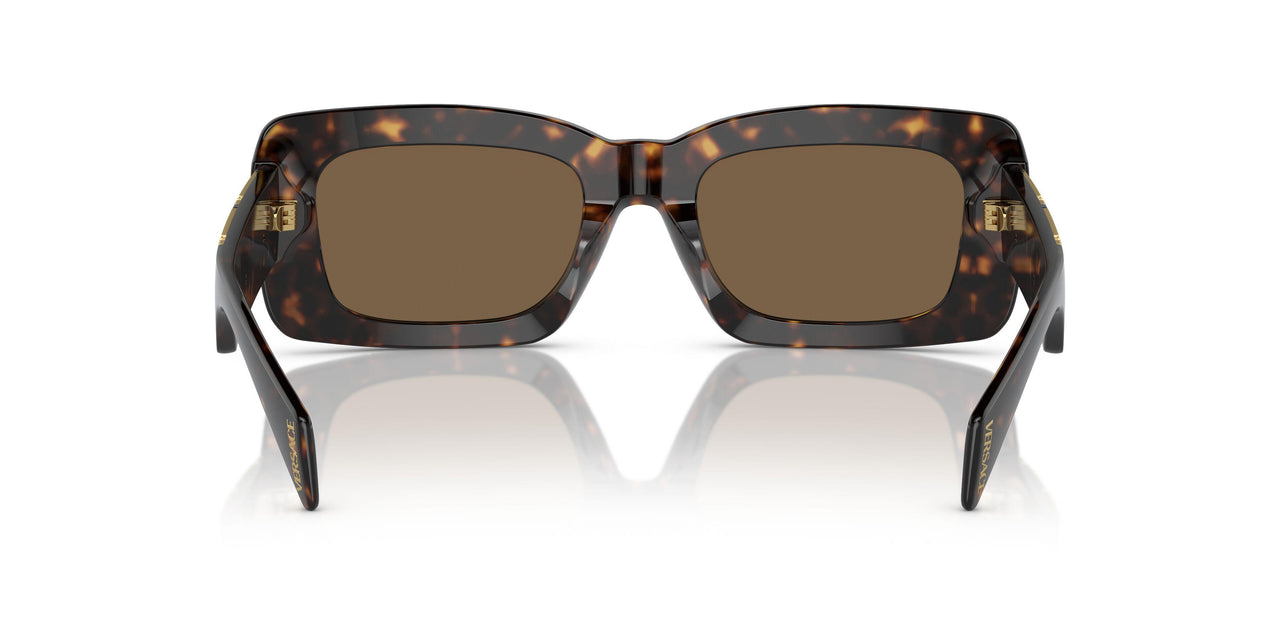 108/73 - Tortoise - Dark Brown
