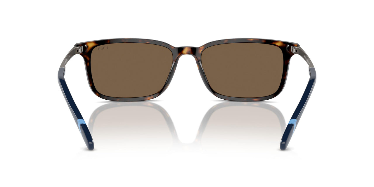 500373 - Brown - Brown
