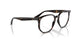 710/M1 - Havana - Photo Clear To Grey/green Quar