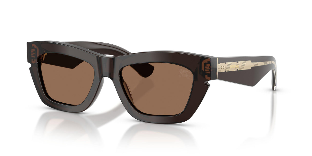 411673 - Brown - Dark Brown