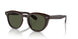 177252 - Brown - G-15