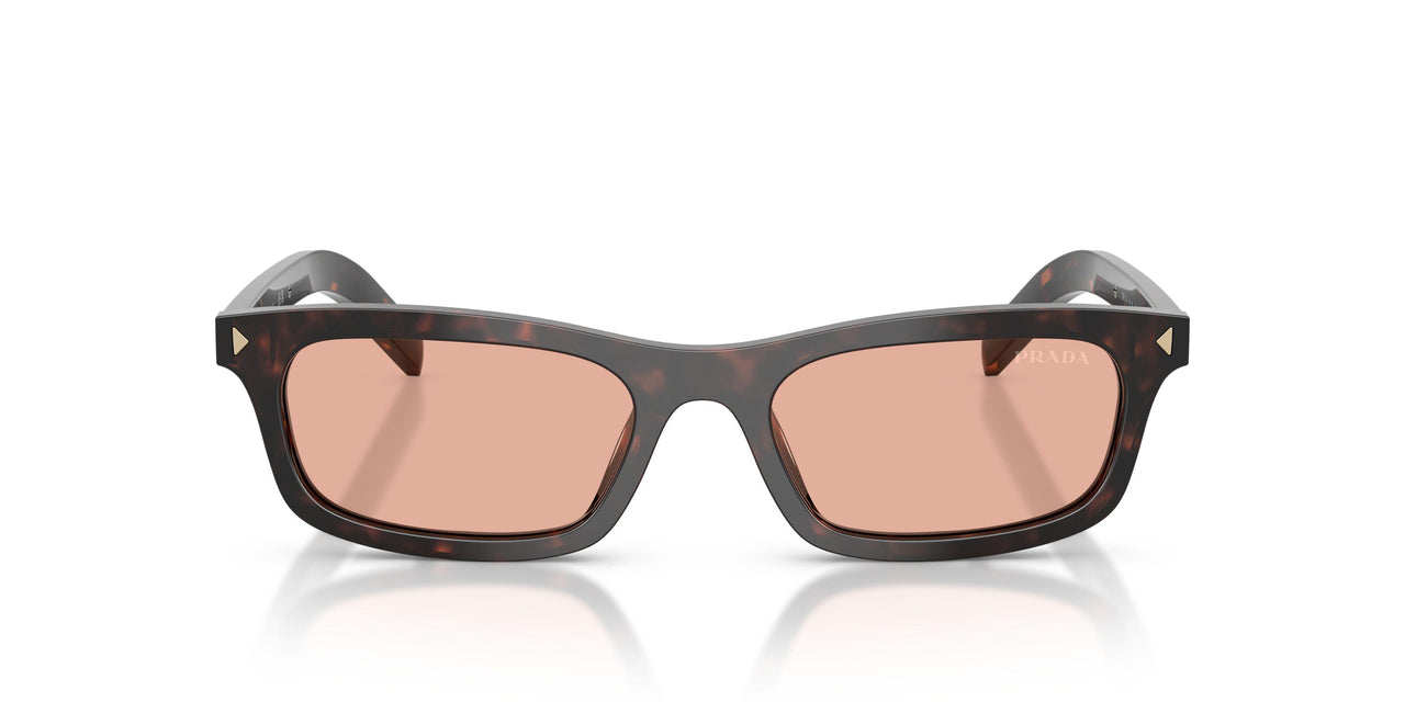 17N50W - Tortoise - Pink