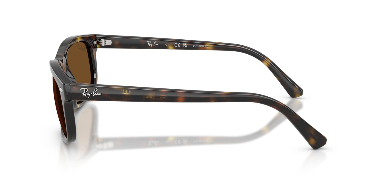 710/57 - Tortoise - Polar Brown