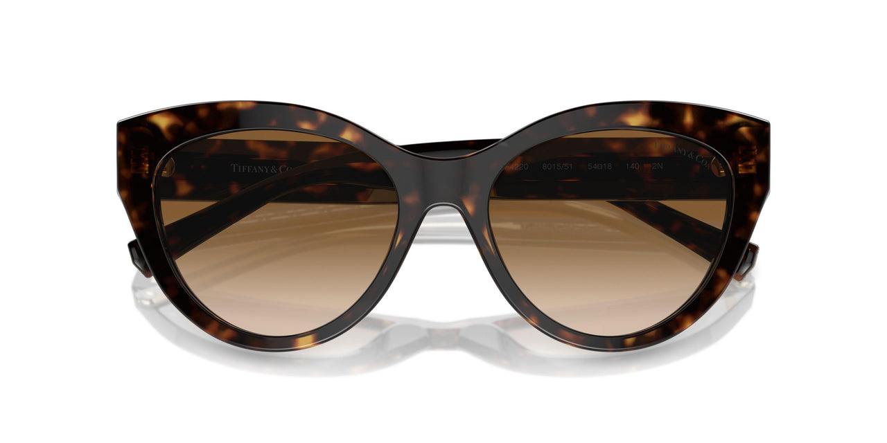 801551 - Tortoise - Clear Gradient Brown
