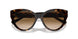 801551 - Tortoise - Clear Gradient Brown