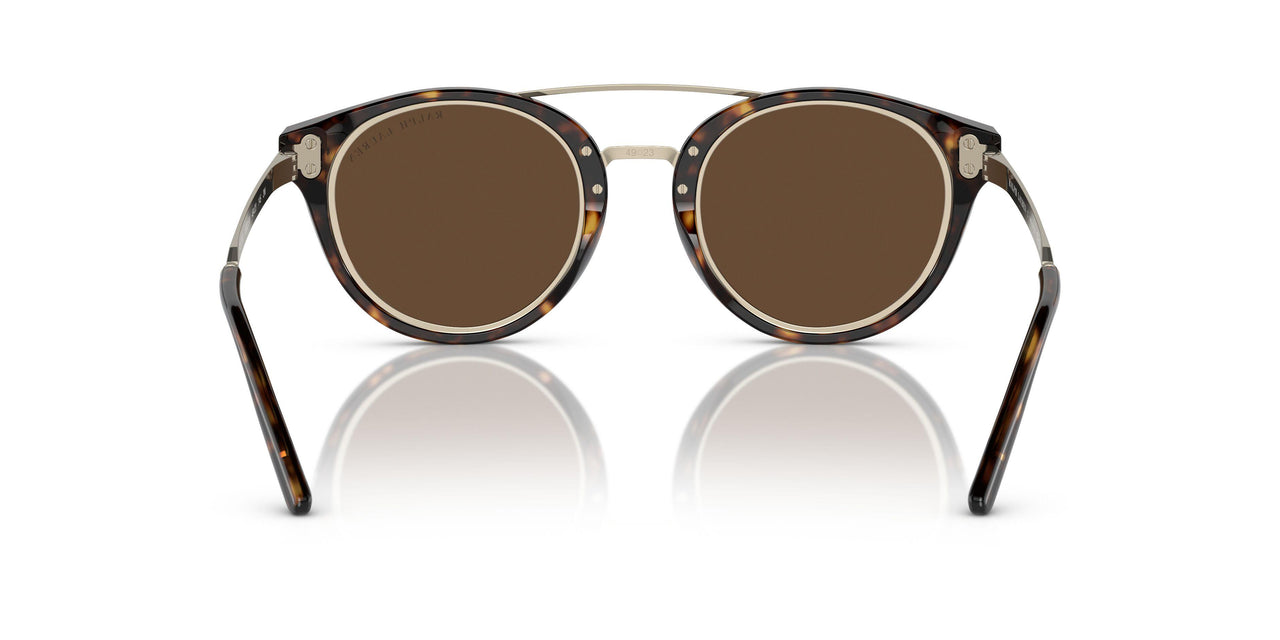 50025W - Tortoise - Brown