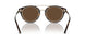 50025W - Tortoise - Brown