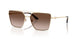 300613 - Gold - Brown Gradient