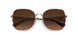 900574 - Gold - Dark Brown Gradient