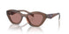 17O60B - Brown - Light Brown