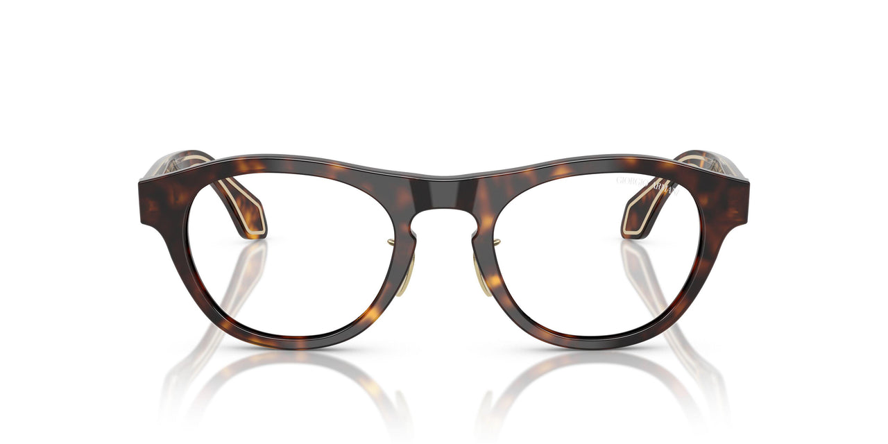 50261W - Tortoise - Clear