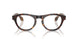 50261W - Tortoise - Clear