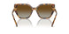 1004T5 - Tortoise - Brown