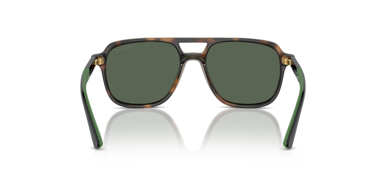 271871 - Brown - Dark Green