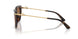 502/73 - Tortoise - Dark Brown