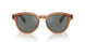 1783W5 - Brown - Regal Blue