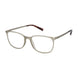 Aristar AR30841 Eyeglasses
