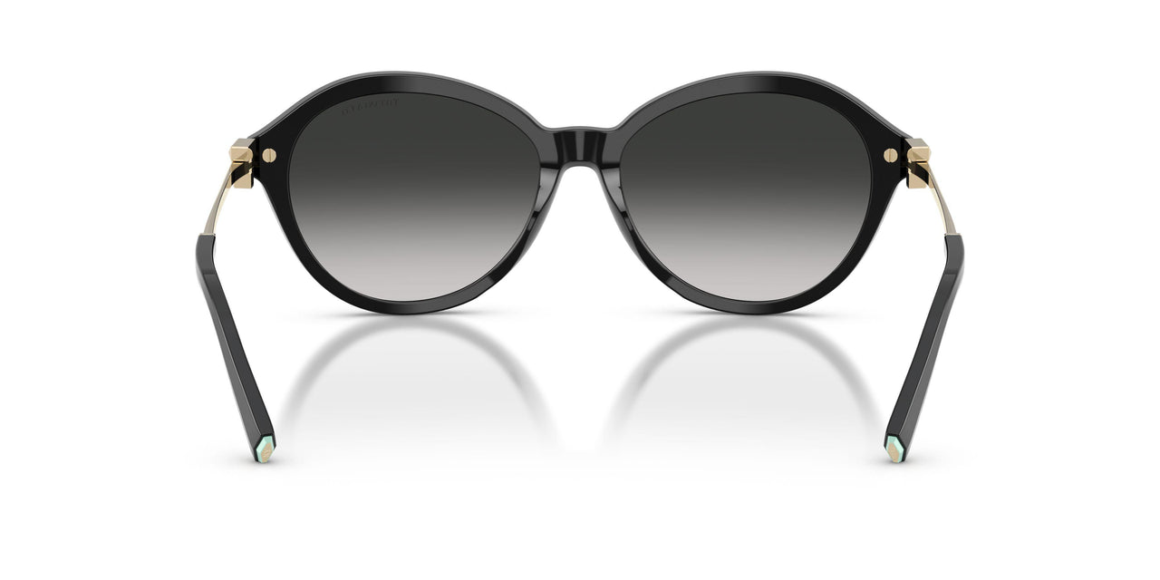 80013C - Black - Gray Gradient