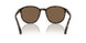 597473 - Tortoise - Brown